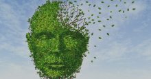 Leaf Face_ hero image
