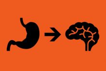 gut-health-brain-stomach
