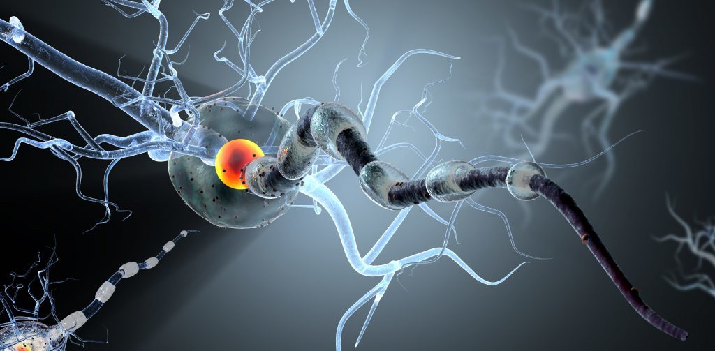Nerve Cells concept for tumors